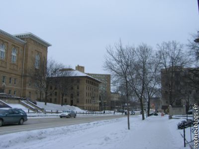 University Av., Lathrop Hall à gauche (danse je crois)